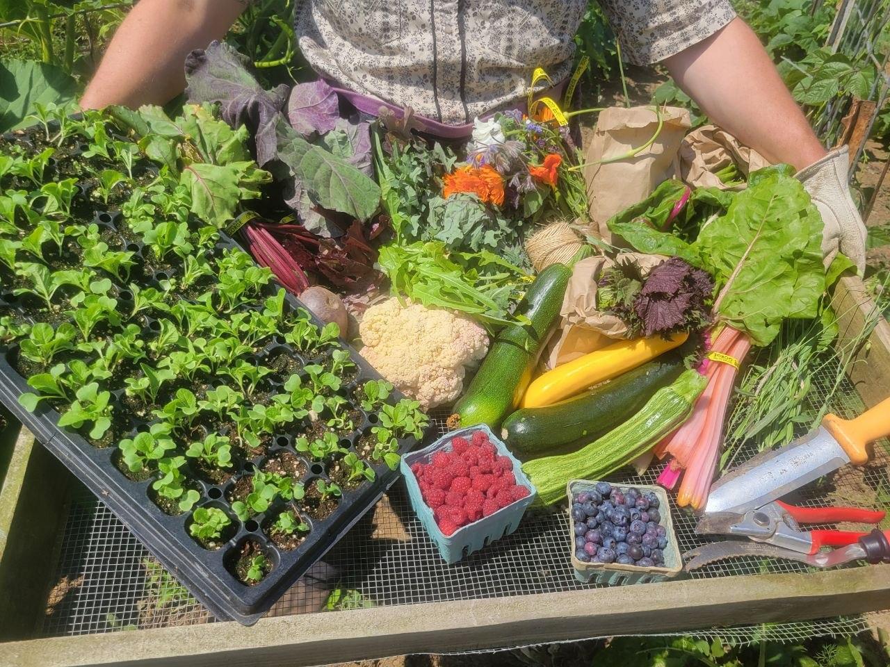 Fresh harvest from Elkenmist Farm