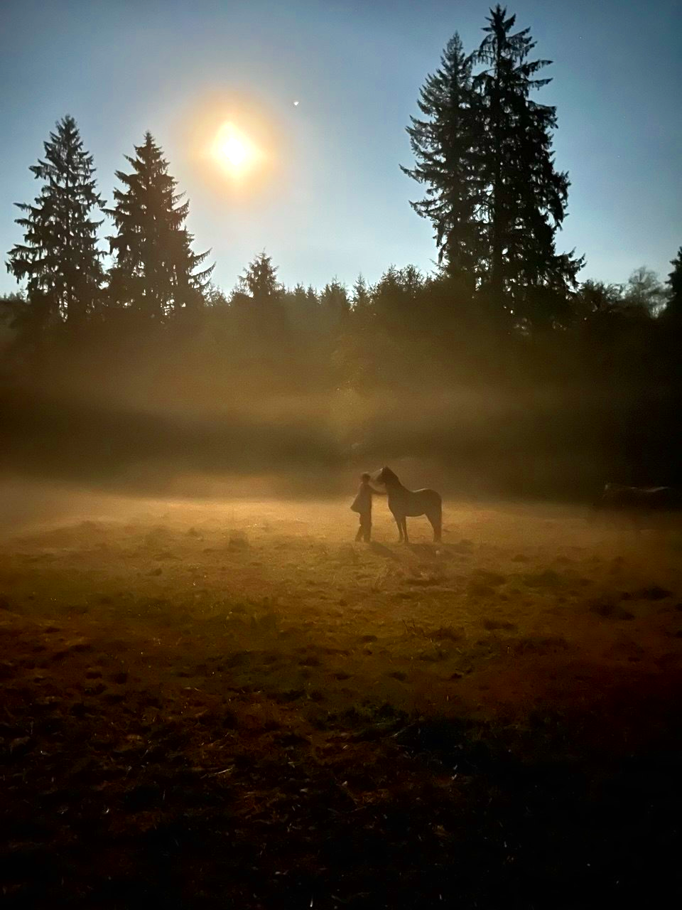 Elkenmist Farm